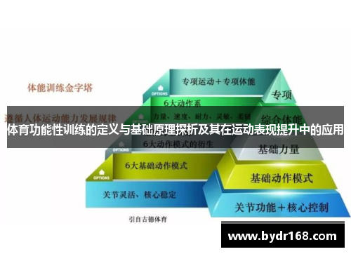 体育功能性训练的定义与基础原理探析及其在运动表现提升中的应用