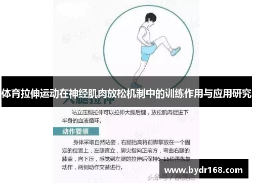体育拉伸运动在神经肌肉放松机制中的训练作用与应用研究
